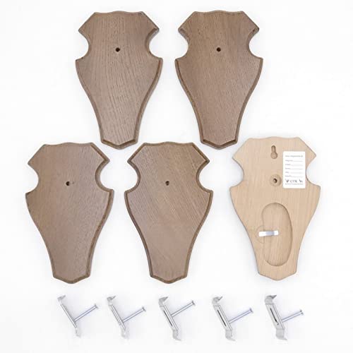 5 Stück REH Trophäenschilder Stumpf braun klein AF 19 cm x 11 cm mit Kieferfach und 5 Stück Gehörnkl
