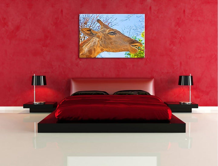 anmutige Giraffe isst Deluxe Format: 100x70 cm auf Leinwand, XXL riesige Bilder fertig gerahmt mit K