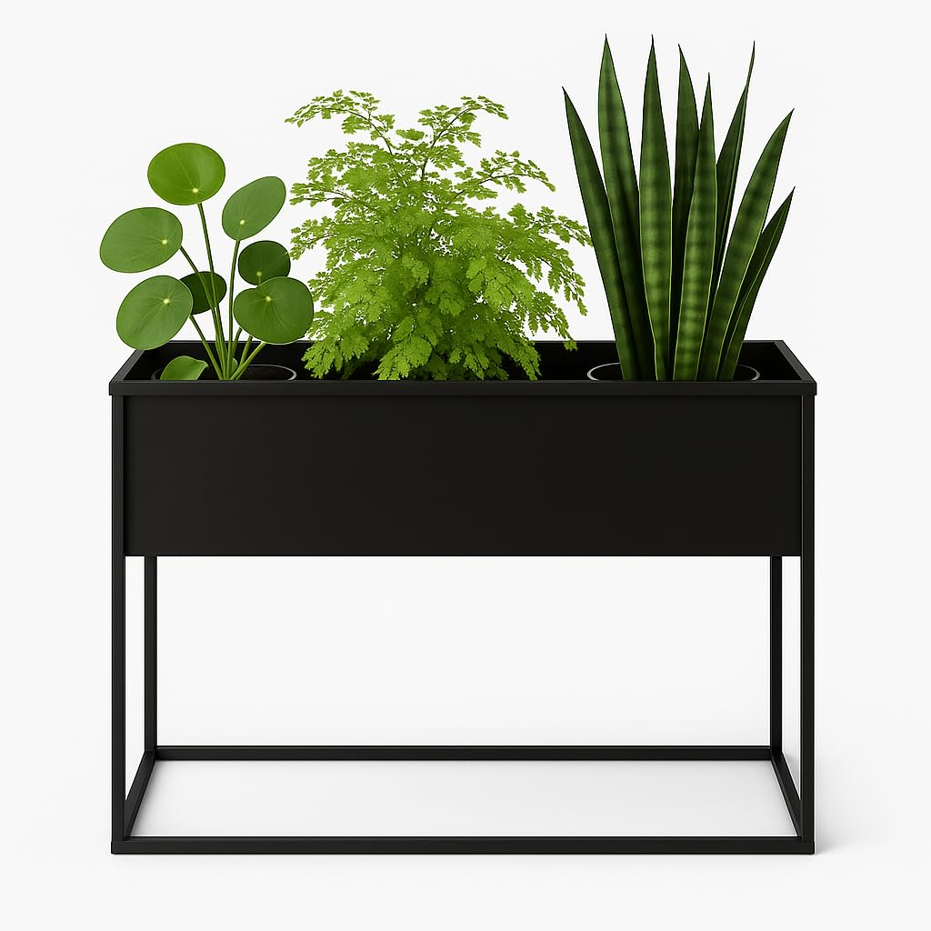 Pflanzenständer Petto - 80x30cm60cm - Farbe Schwarz - für Zimmerblumen - Metallregal - Dekorativer T