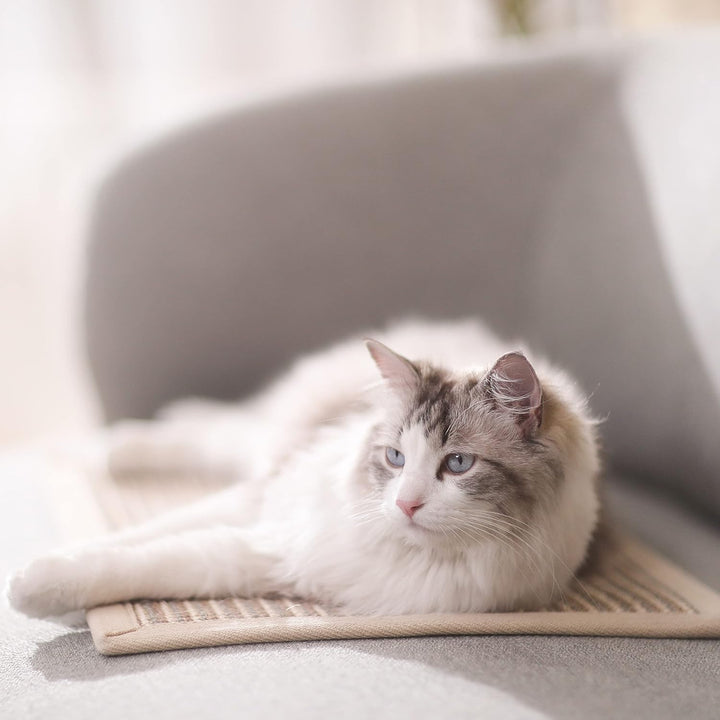FUKUMARU Kratzmatte Katze, natürliche Katzenkratzbretter Sisal Kratzteppich,widerstandsfähig Katzenm