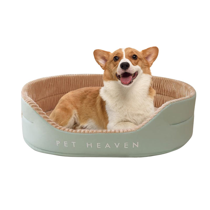 PETCUTE Hundebett für Mittlere Hunde,Orthopädisch Haustierbett für kleine und mittelgrosse Hunde und