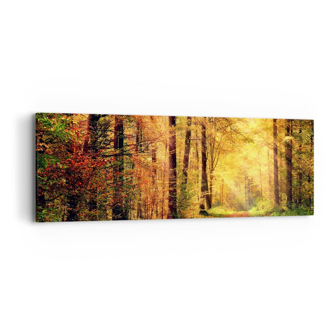 Panorama Bilder auf Leinwand Wald Baum Natur Leinwandbild mit Rahmen 90x30cm Wandbilder Dekoration W