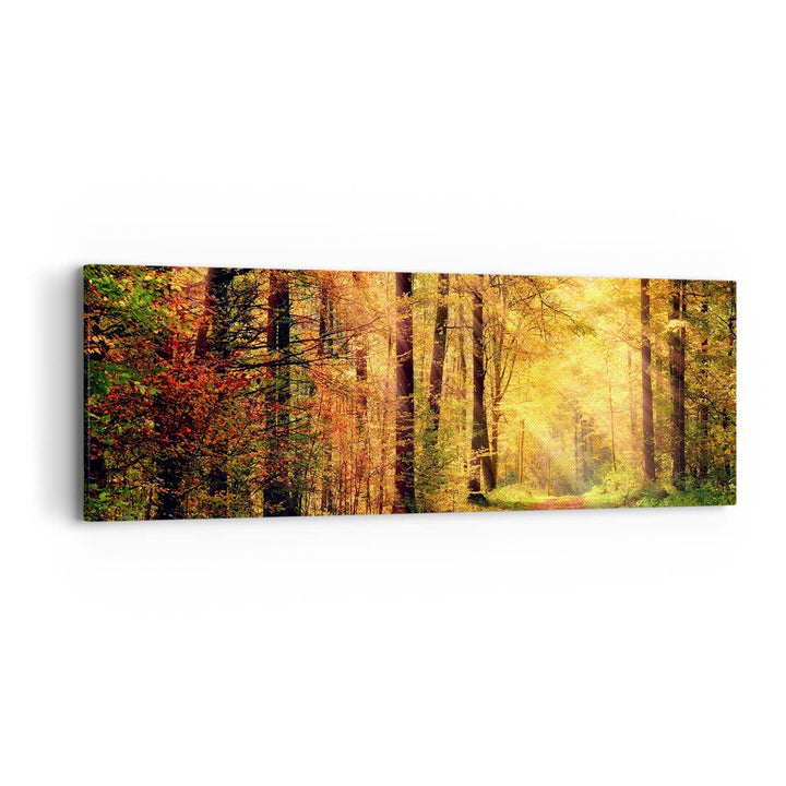 Panorama Bilder auf Leinwand Wald Baum Natur Leinwandbild mit Rahmen 90x30cm Wandbilder Dekoration W