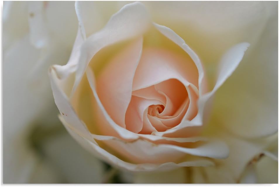 Feeby. Wandbild - 1 Teilig - 70x100 cm, Leinwand Bild Leinwandbilder Bilder Wandbilder Kunstdruck, R