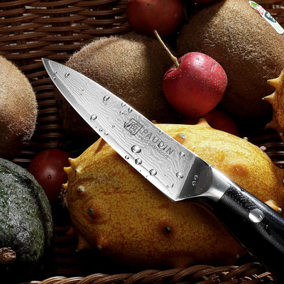 PAUDIN Damastmesser 9 cm – Gemüsemesser Schälmesser Obstmesser – VG10 Profi-Küchenmesser mit schwarz