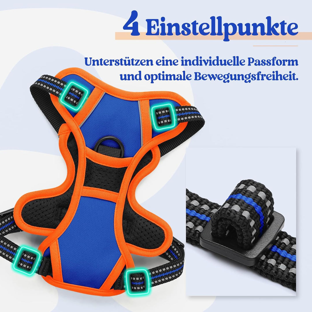 rabbitgoo Hundegeschirr Kleine Hunde Anti Zug Geschirr Hund mit Kontrolle No Pull Verstellbar Hundeg