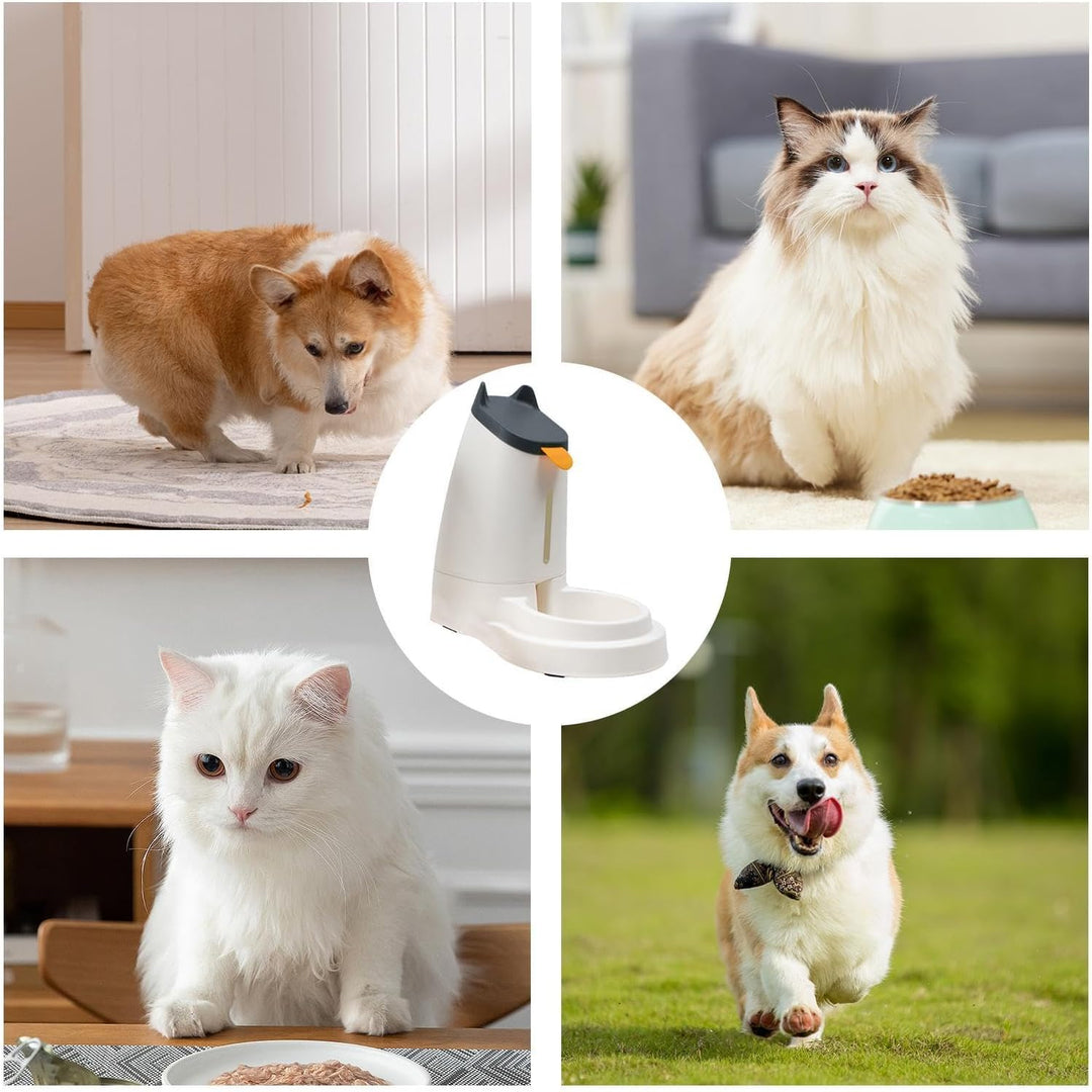 Pet Feeder Katzenfutterspender | Katze Wasserspender Automatischer Spender - Katzenfütterung & Bewäs
