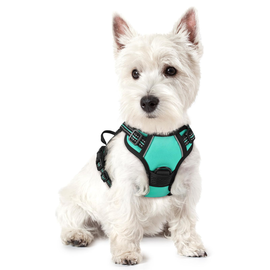 rabbitgoo Hundegeschirr Kleine Hunde, Anti Zug Geschirr mit Kontrolle, No Pull Verstellbar Hundegesc