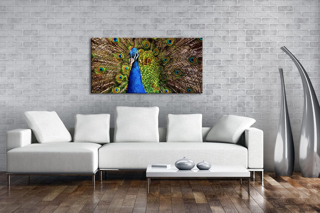 himmlisches Pfau Gefieder Panorama 80x40 cm als Leinwandbild, Motiv fertig gerahmt auf Echtholzrahme