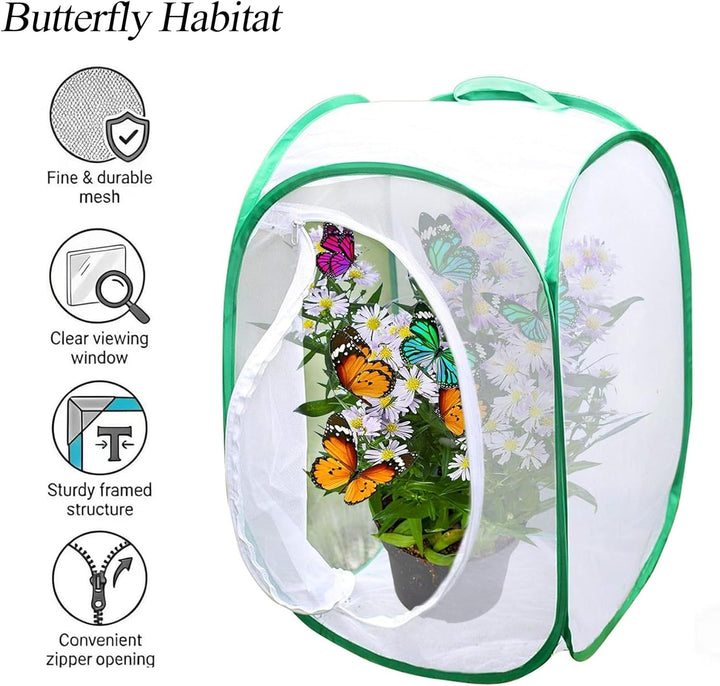 Insekt Und Schmetterling Habitat Käfig, Zusammenklappbares Schmetterlingshaus, Mesh Terrarium Pop-Up