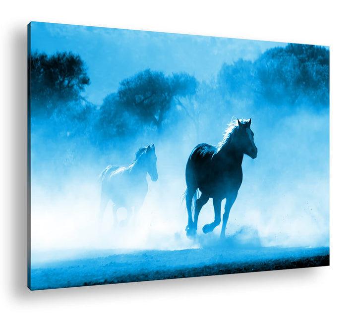 eine Pferdeherde galoppiert durch denn Nebel Format 80x60 Effekt: Monocrome Blau als Leinwandbild, M