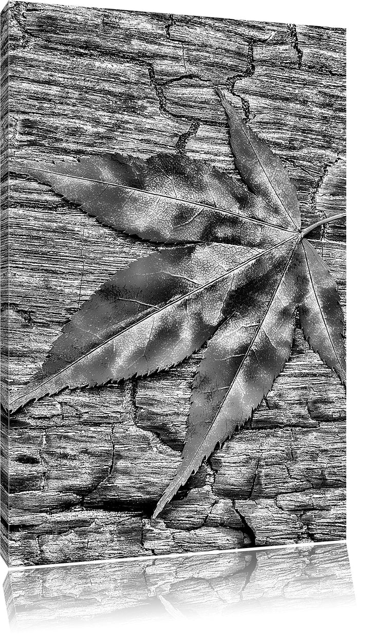 Pixxprint Blatt auf Holz, Laub, Natur als Leinwandbild/Grösse: 100x70 cm/Wandbild/Kunstdruck/fertig