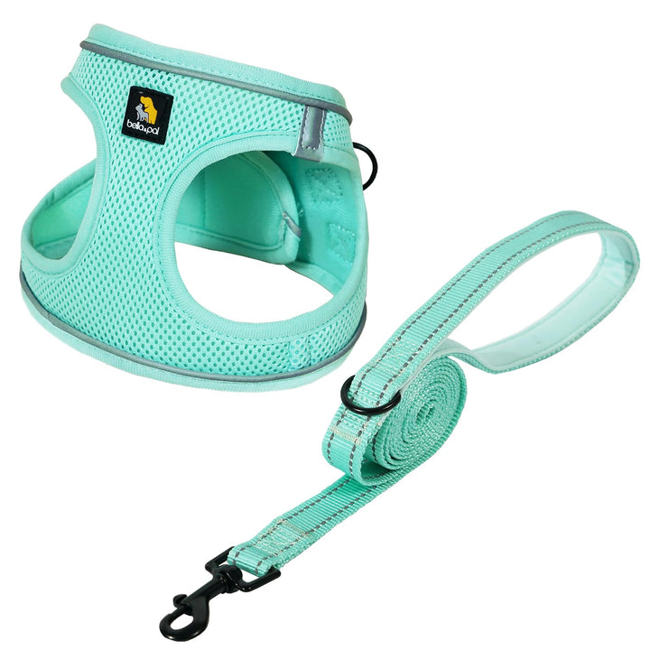 BELLA &amp; PAL Hundegeschirr Kleine Hunde mit Leine, Step-in Geschirr aus Air Mesh, Anti Zug Reflektier