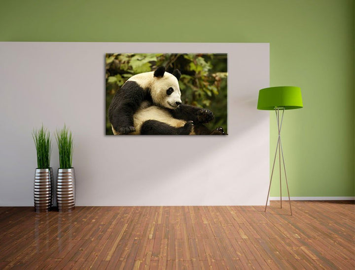 niedlicher Pandabär Leinwand, XXL riesige Bilder fertig gerahmt mit Keilrahmen, Kunstdruck auf Wandb