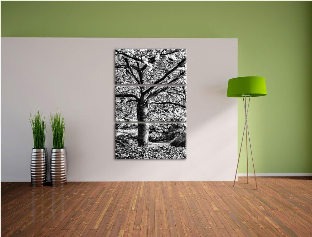 Pixxprint Rosa blühende Kirschbäume als Leinwandbild/Grösse: 3 Teilig (120x80) cm/Wandbild/Kunstdruc