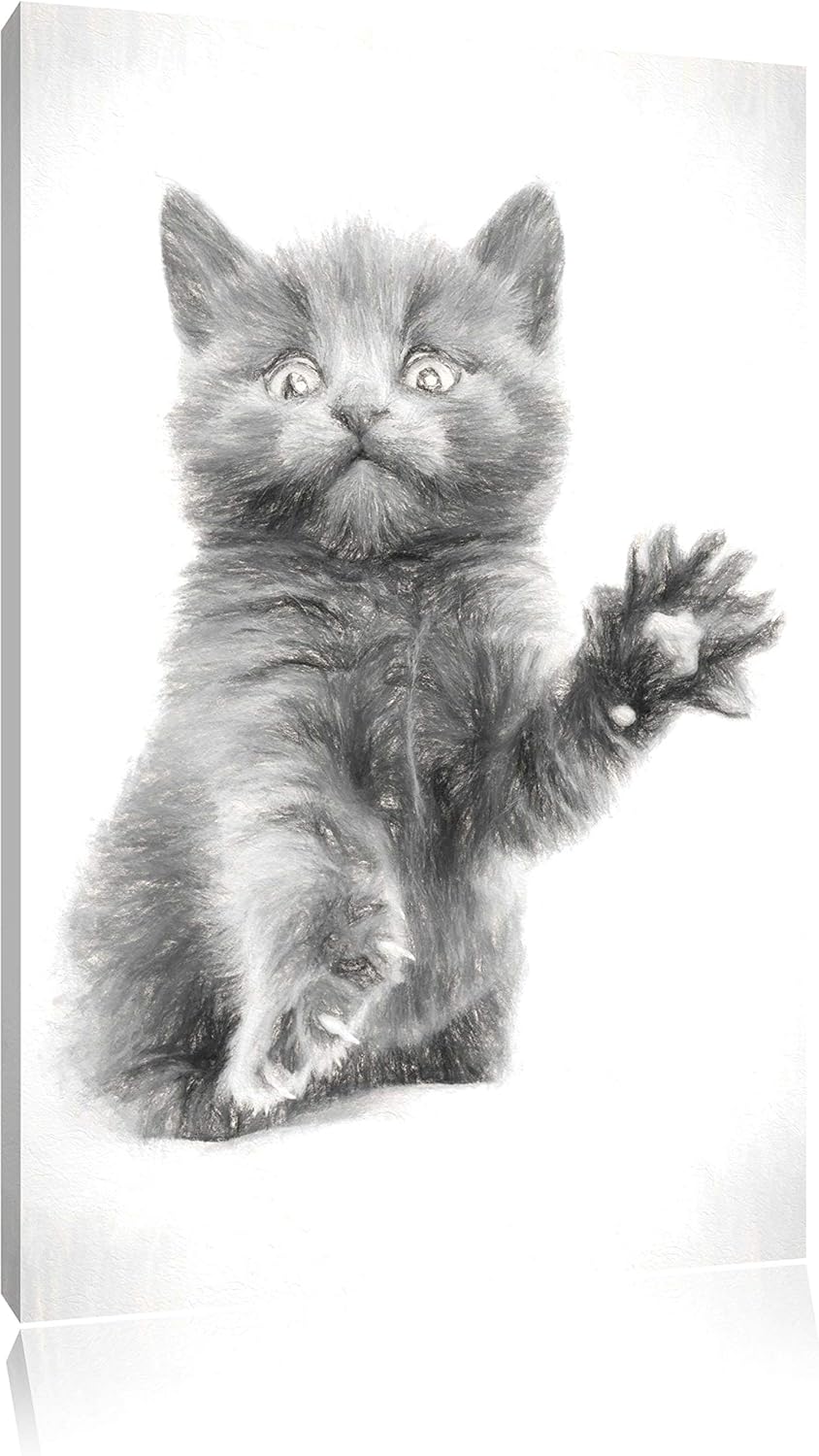 Babykatze Kohle Effekt, Format: 100x70 auf Leinwand, XXL riesige Bilder fertig gerahmt mit Keilrahme