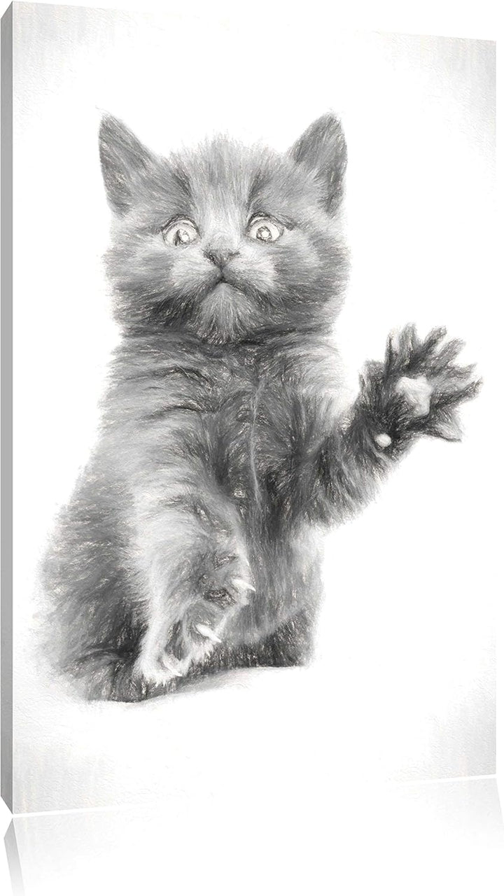 Babykatze Kohle Effekt, Format: 100x70 auf Leinwand, XXL riesige Bilder fertig gerahmt mit Keilrahme