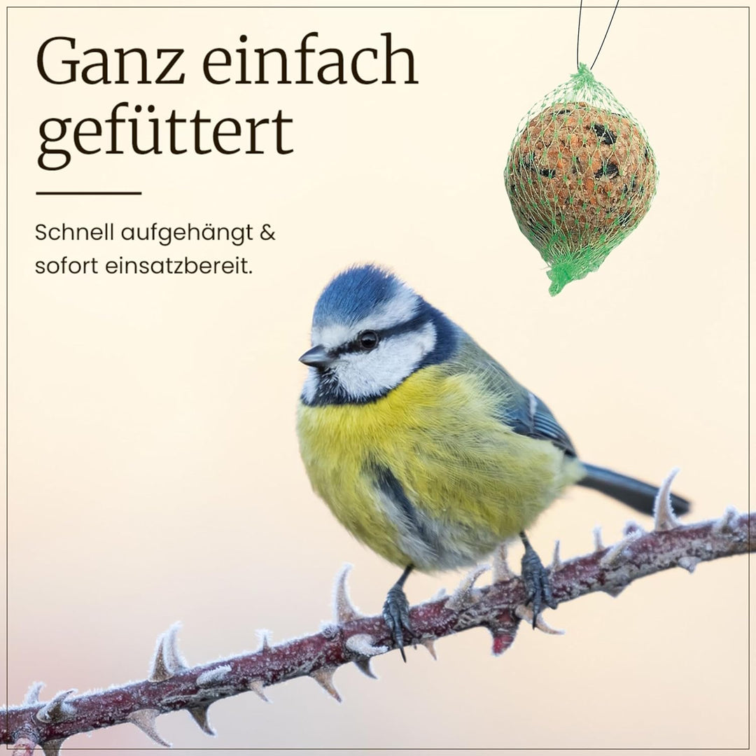 ERDTMANNS - 100 Meisenknödel für Wildvögel mit Netz im Eimer