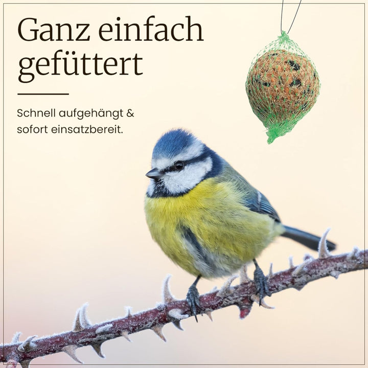 ERDTMANNS - 100 Meisenknödel für Wildvögel mit Netz im Eimer