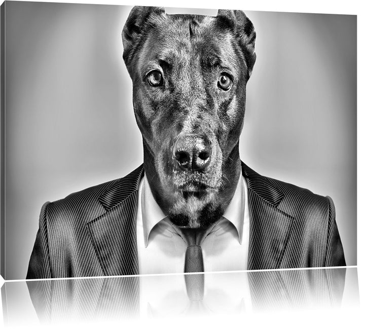 Pixxprint Manager Hund mit Anzug als Leinwandbild/Grösse: 100x70 / Wandbild/Kunstdruck/fertig bespan