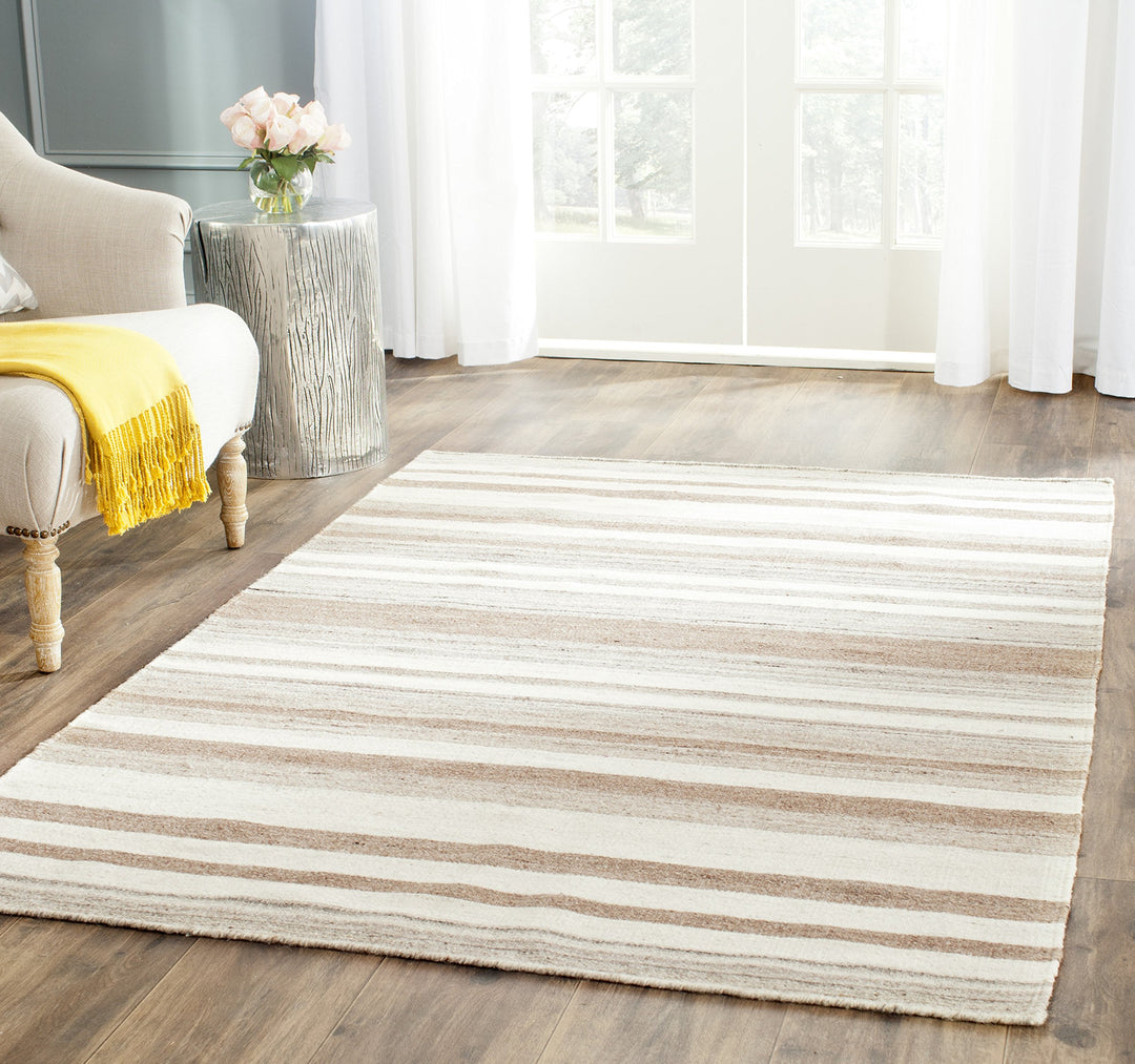 SAFAVIEH Zeitgenössische Teppich für Wohnzimmer, Esszimmer, Schlafzimmer - Dhurrie Collection, Kurze