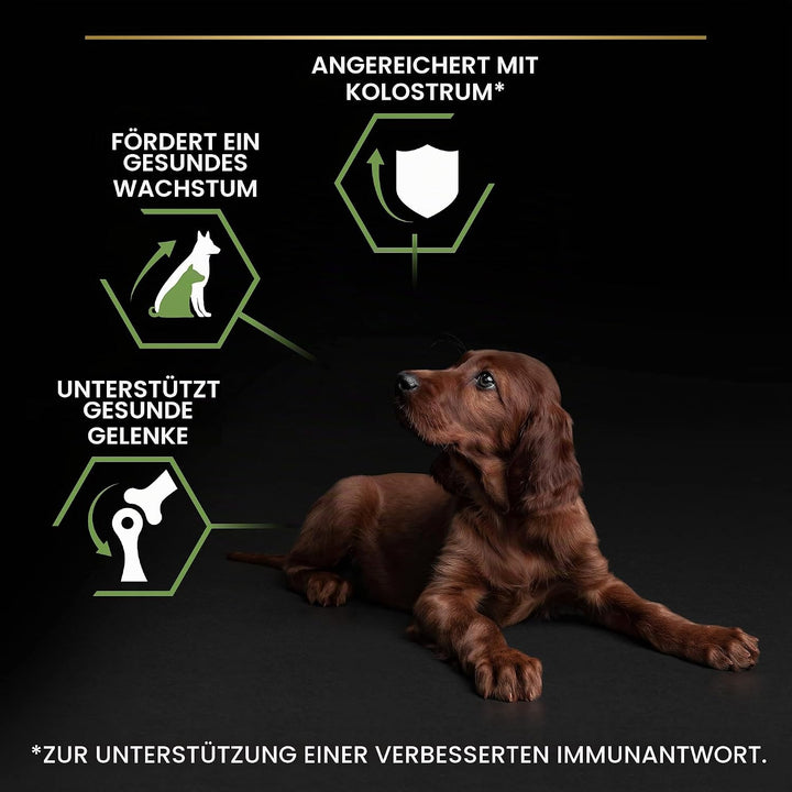 Pro Plan PURINA PRO PLAN Large Athletic Puppy Healthy Start, Welpenfutter trocken, reich an Huhn, 1e