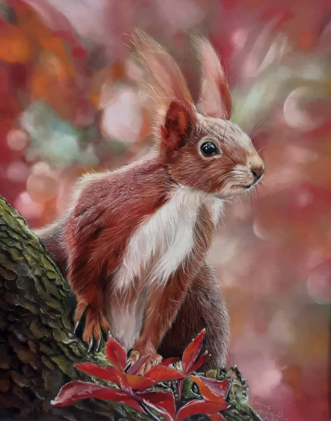 Clairefontaine 696020C - Packung mit 5 Zeichenbögen Pastelmat, ideal für Trockentechniken und Pastel