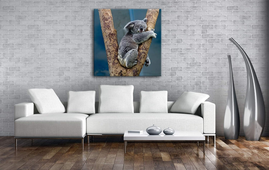 deyoli niedlich schlafender Koalabär Format: 70x70 als Leinwand, Motiv fertig gerahmt auf Echtholzra