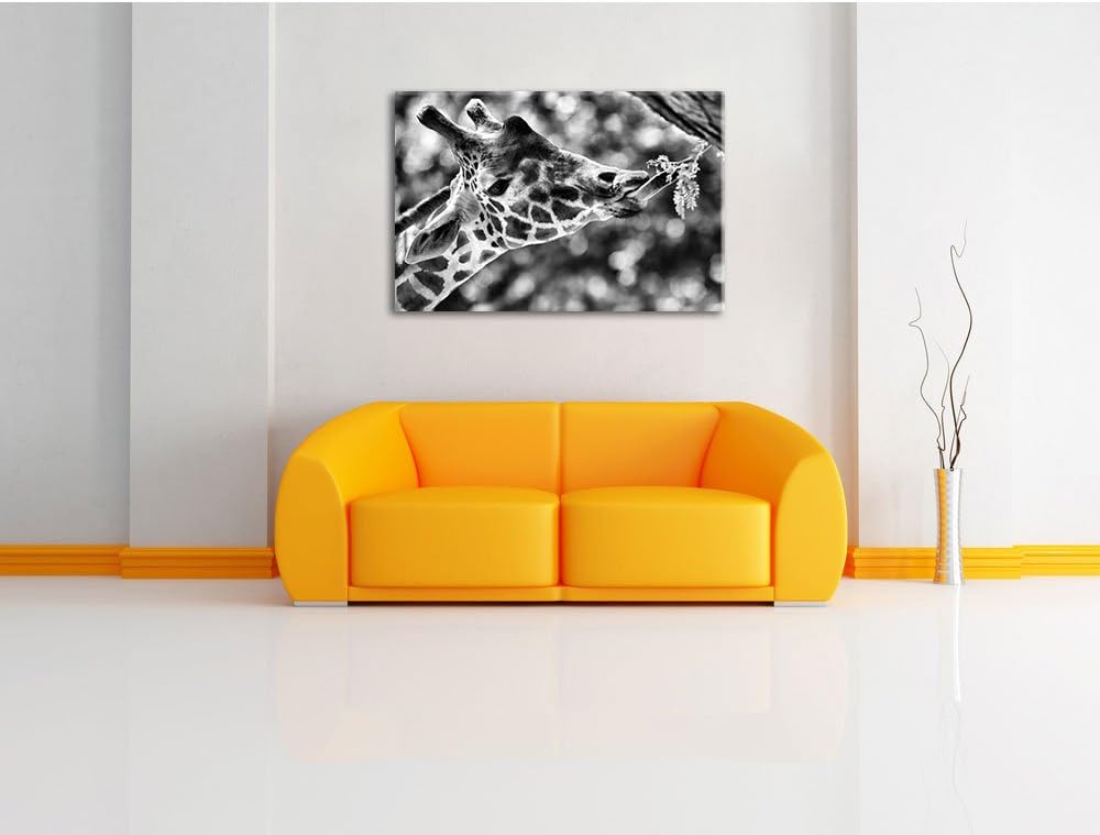Pixxprint Giraffe Gesicht / 100x70cm Leinwandbild bespannt auf Holzrahmen/Wandbild Kunstdruck Dekora