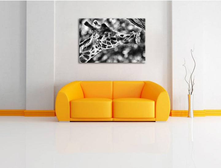 Pixxprint Giraffe Gesicht / 100x70cm Leinwandbild bespannt auf Holzrahmen/Wandbild Kunstdruck Dekora