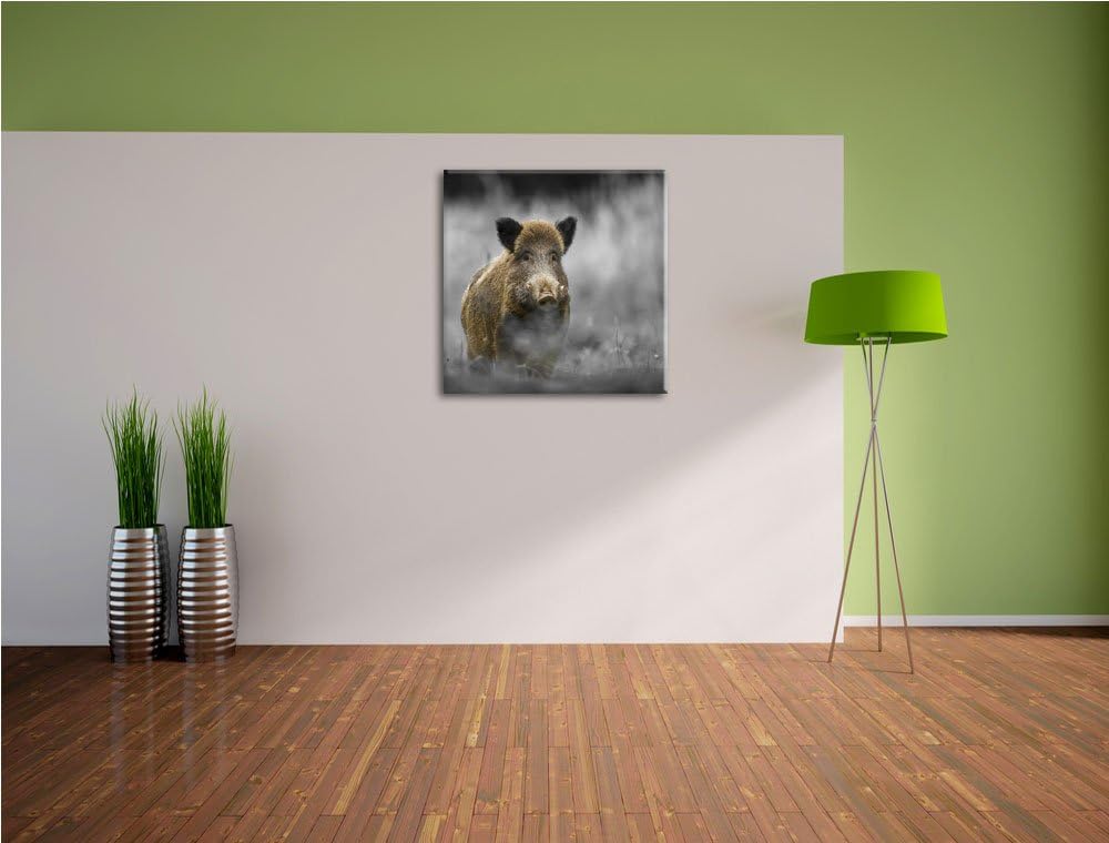 Pixxprint einsames Wildschwein im Wald als Leinwandbild/Grösse: 70x70 cm/Wandbild/Kunstdruck/fertig