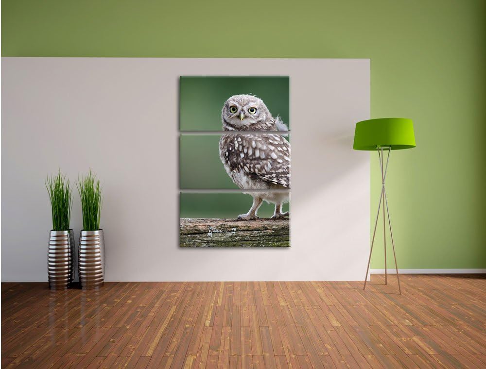 Pixxprint Kleine Eule auf Baum als Leinwandbild/Grösse: 3 Teilig (120x80) cm/Wandbild/Kunstdruck/fer