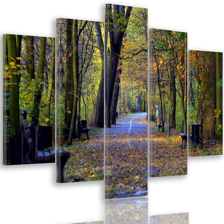 Leinwandbild Landschaft 5 TLG Bild Kunstdruck Park Allee Herbst bunt 100x70 cm Leinwandbild 100x70 c