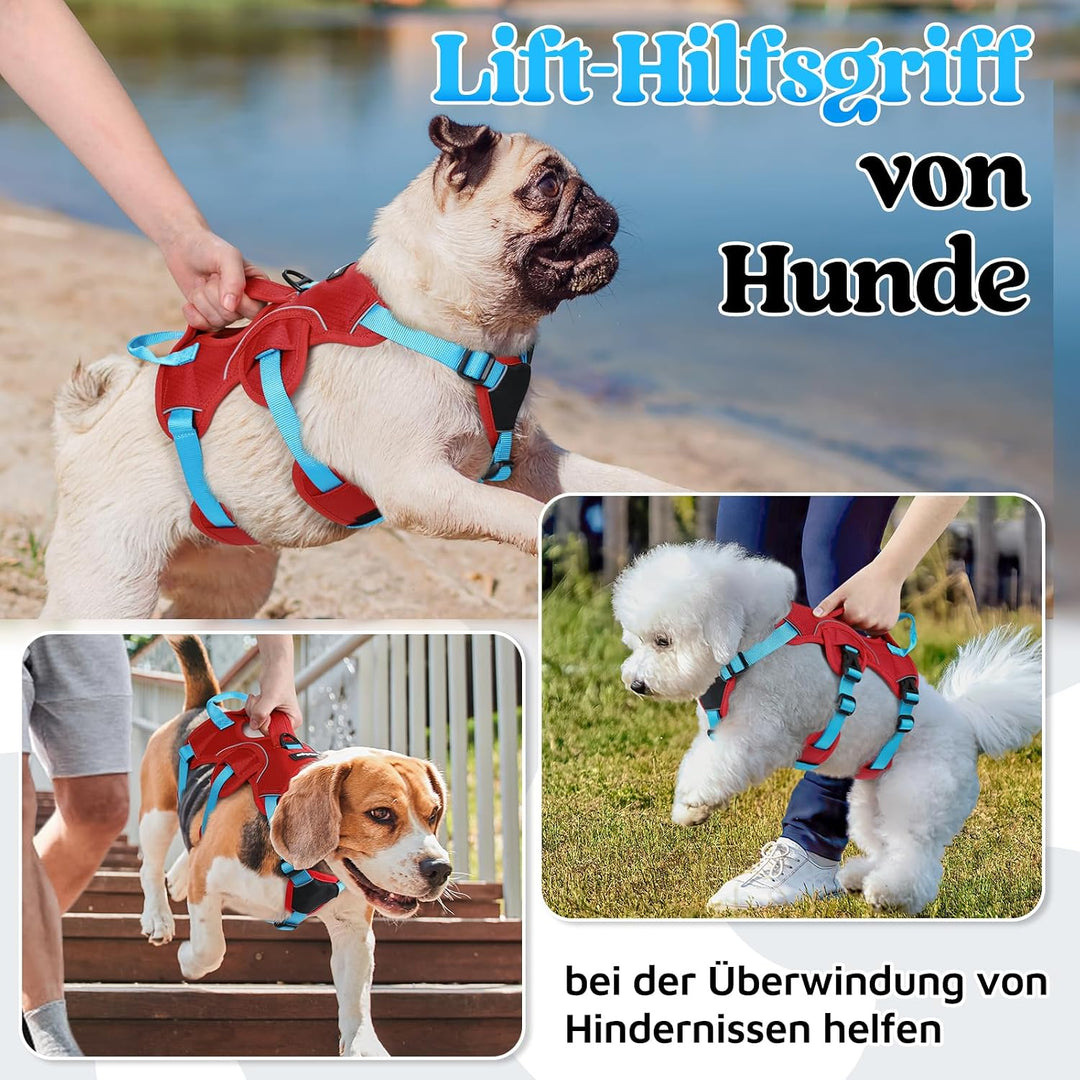 rabbitgoo Hundegeschirr Mittelgrosse Hunde，Sicherheitsgeschirr Hund | Sicherer Hebegriff, einfache K