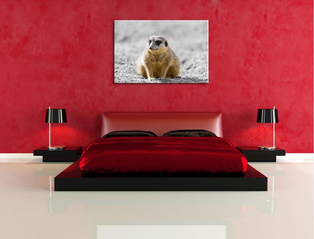 schüchternes Erdmännchen schwarz/weiss auf Leinwand, XXL riesige Bilder fertig gerahmt mit Keilrahme