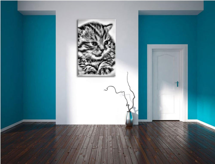 Pixxprint Monocrome, kleines Kätzchen auf weisser Decke, Format: 100x70 auf Leinwand, XXL riesige Bi