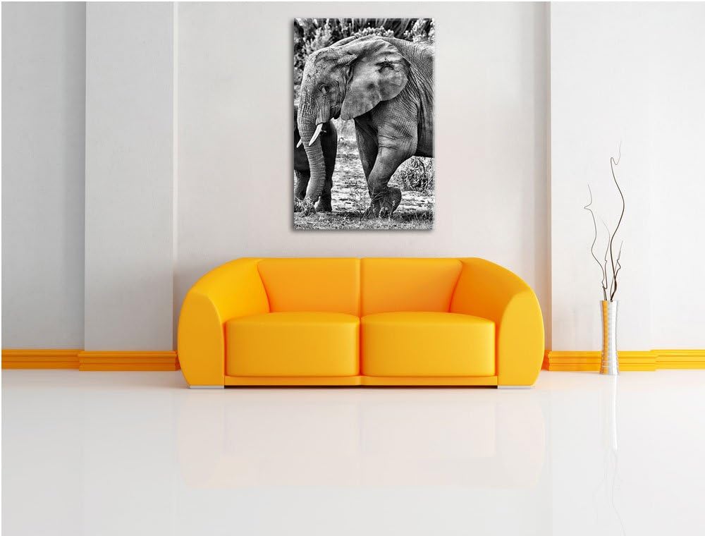 Pixxprint Elefantenkuh mit Jungtier als Leinwandbild/Grösse: 100x70 cm/Wandbild/Kunstdruck/fertig be