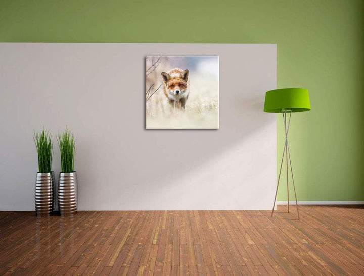 Schleichender fuchs, Format: 70x70 auf Leinwand, XXL riesige Bilder fertig gerahmt mit Keilrahmen, K
