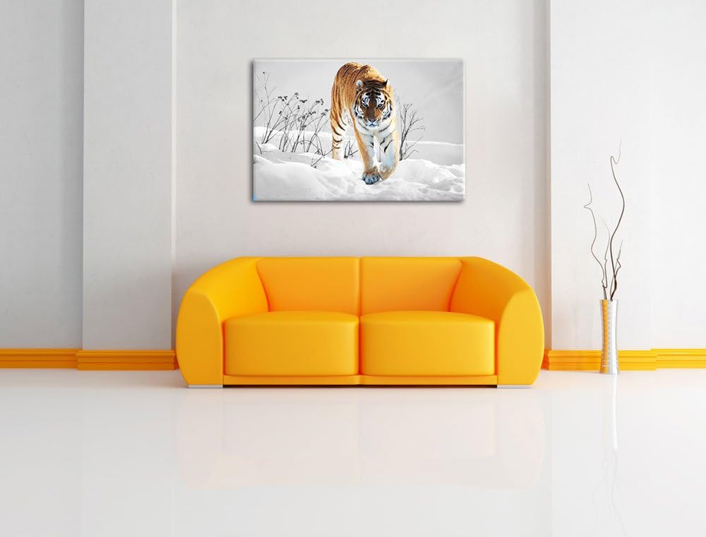 Grosser wilder Tiger im Schnee schwarz/weiss Format: 100x70 auf Leinwand, XXL riesige Bilder fertig