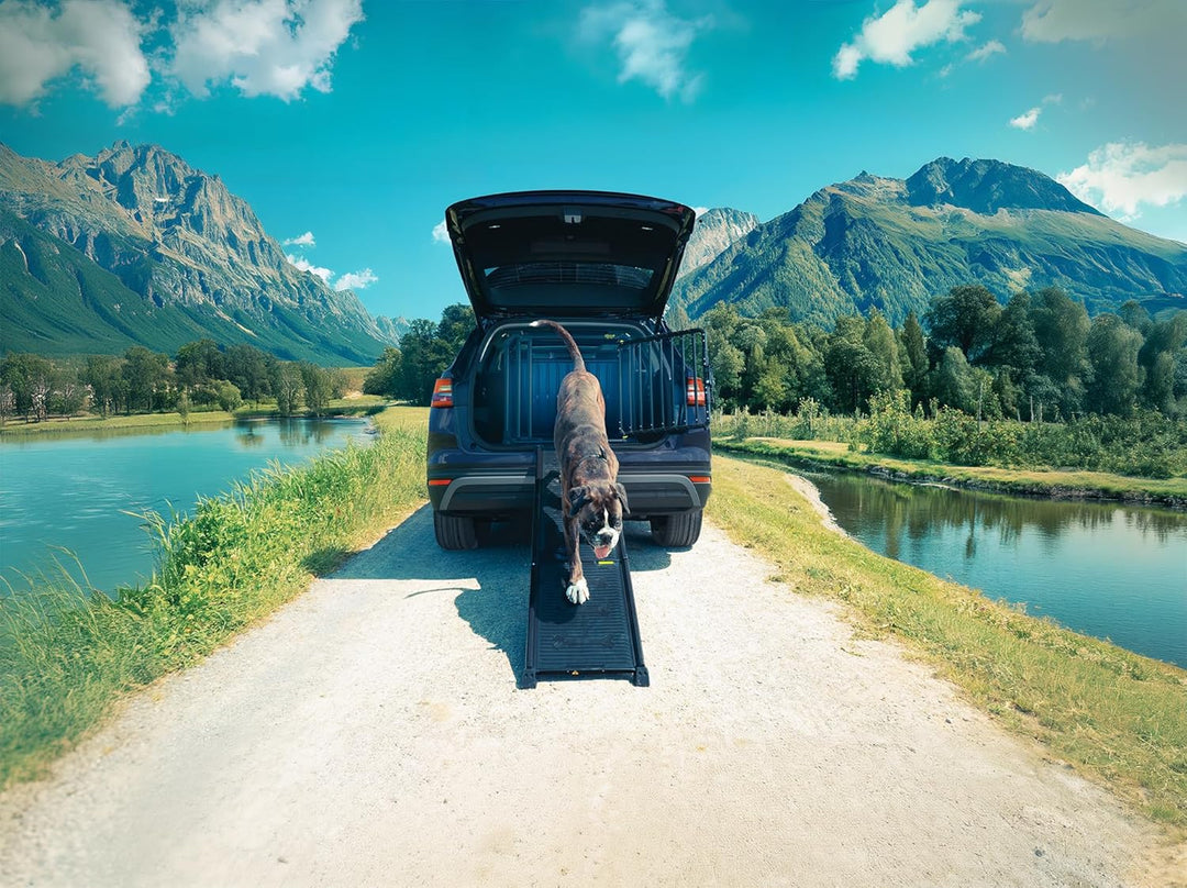 4pets Easy-Steps Einstiegshilfe Leichter Schritt, Leichter Schritt