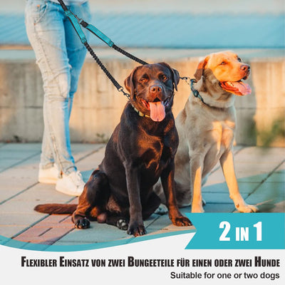 Snocyo Joggingleine Hunde, Doppelleine Hundeleine für Zwei Hunde, Elastische und Reflektierende Dopp