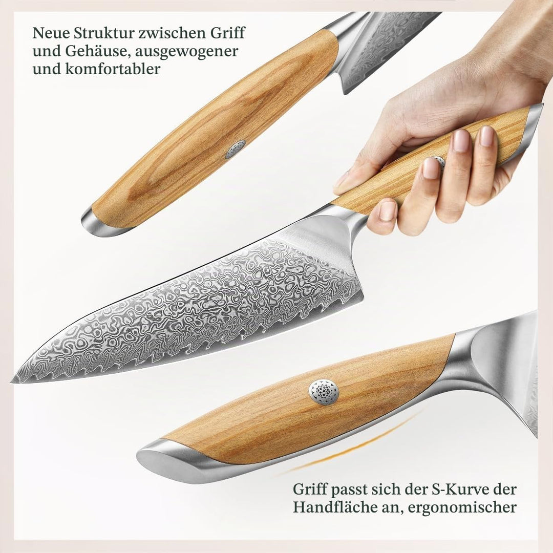 HEZHEN Damast Küchenmesser Set 5-Teilig, Professionelles Damaszener Stahl Kochmesser Set Santoku Mes