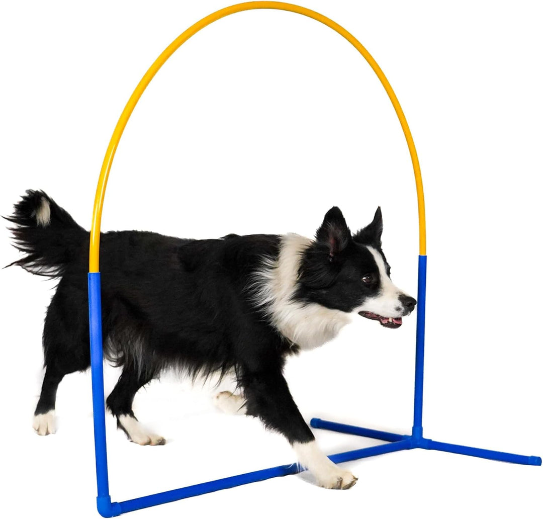 Callieway 6X NADAC Hoopers Agility Hoops - Grosspackung Fun Hoops - Blau - 6er Pack (Mit Mittelstreb