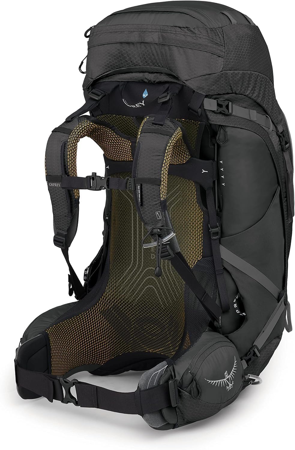 Osprey Herren Atmos AG 65 schwarz