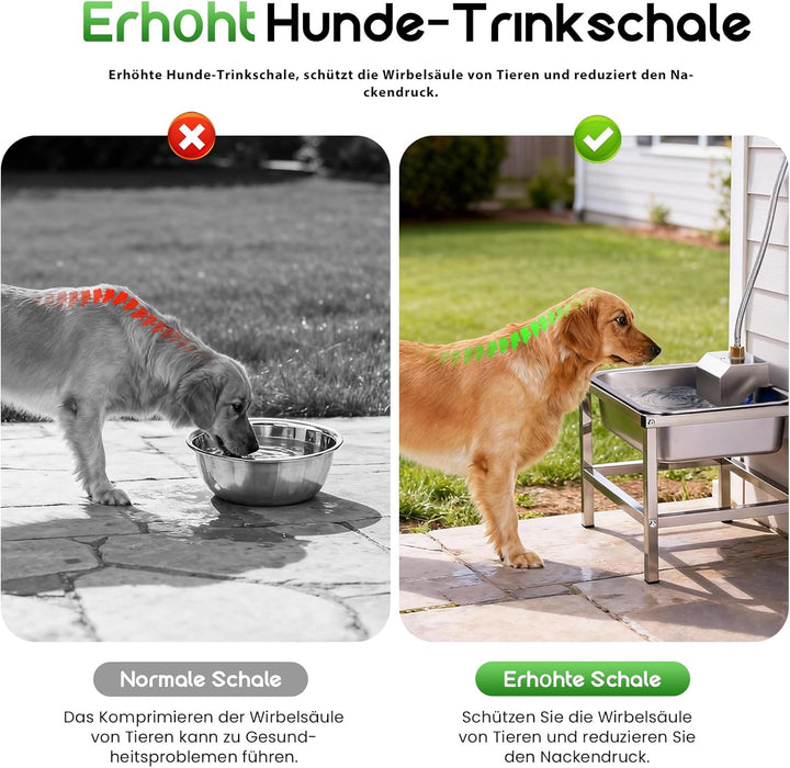Svauoumu 11L Trinkbrunnen für Hunde,Hundenapf Erhöht mit stabilem Metallständer,Edelstahl-Tiertränke