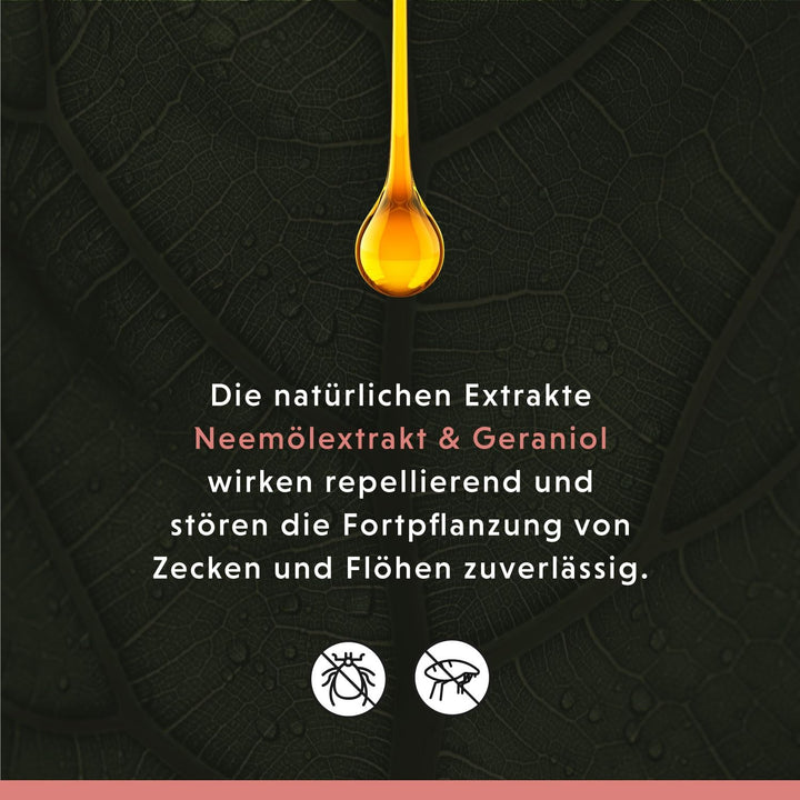 Annimally Anti Zecken und Flohshampoo Hund - Shampoo gegen Zecken, Flöhe &amp; Milben für Hunde - Hundes