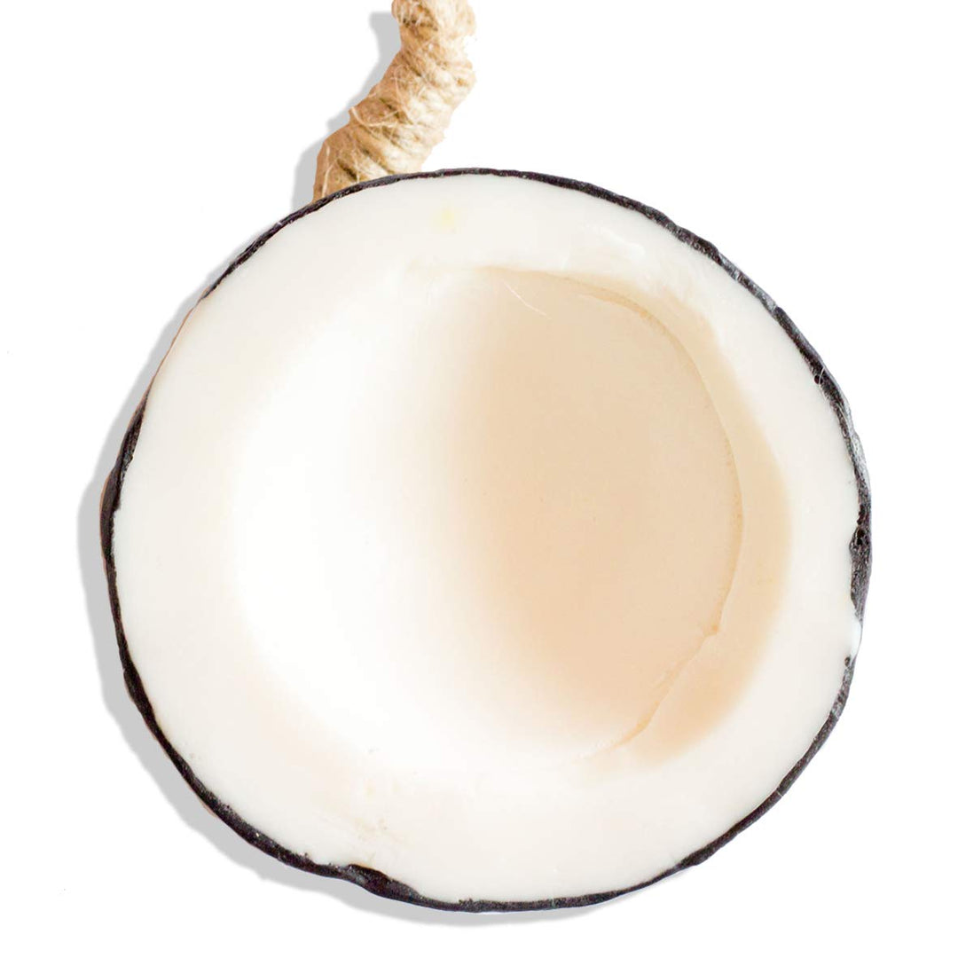 LABOTE Handgemachte thailändische Bio Naturseife Kokosnuss mit typischem Duft, 5 Stück, Kokosnuss