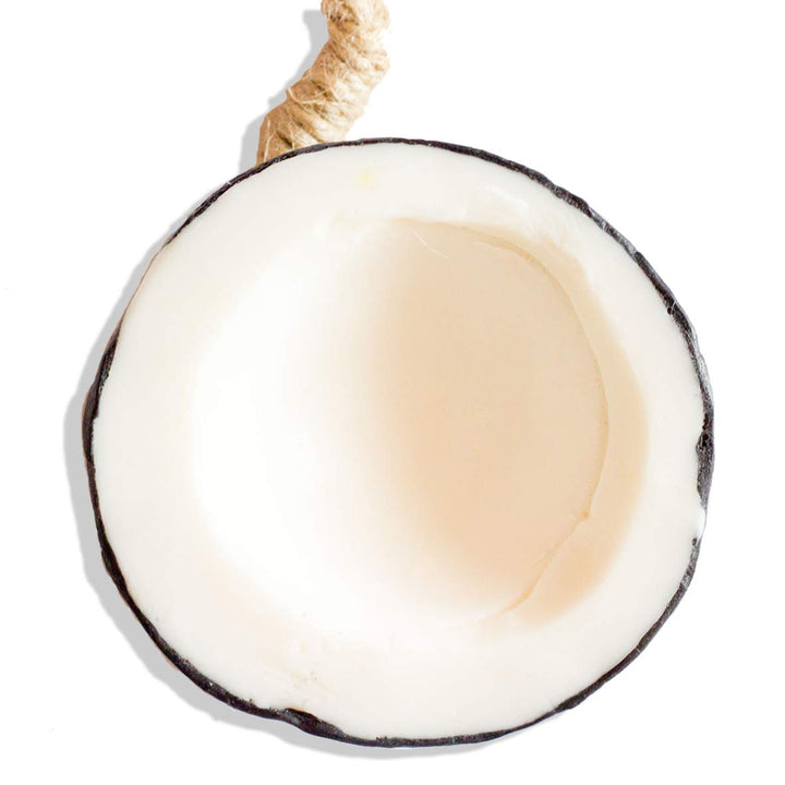 LABOTE Handgemachte thailändische Bio Naturseife Kokosnuss mit typischem Duft, 5 Stück, Kokosnuss