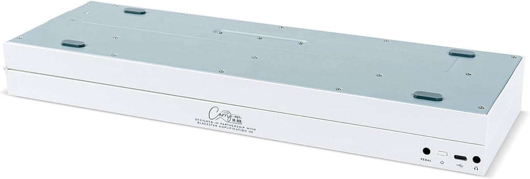 Blackstar FP-49 Touch 49 Tasten, berührungsempfindlich, tragbar, faltbar, mit USB-MIDI-Controller, m