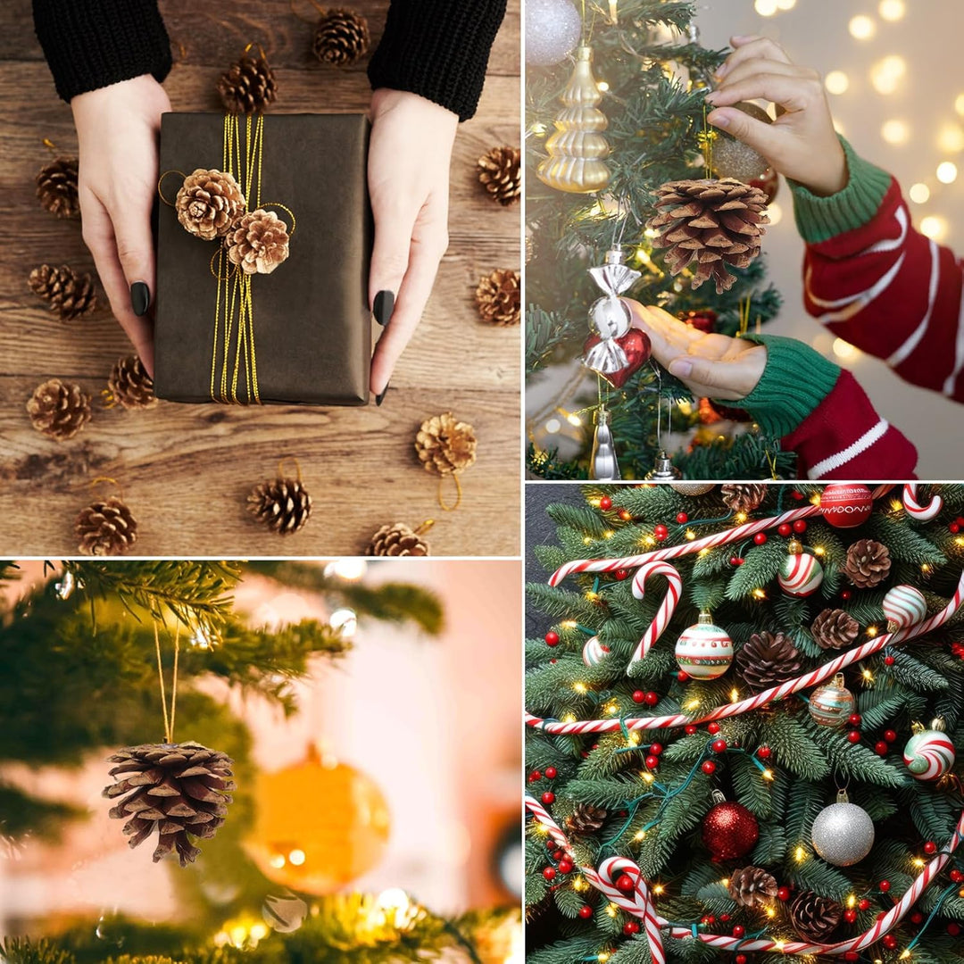 24 Stück Tannenzapfen Gross,5cm Kiefernzapfen mit Goldenem Schlüsselband, Zapfen Deko Weihnachten fü